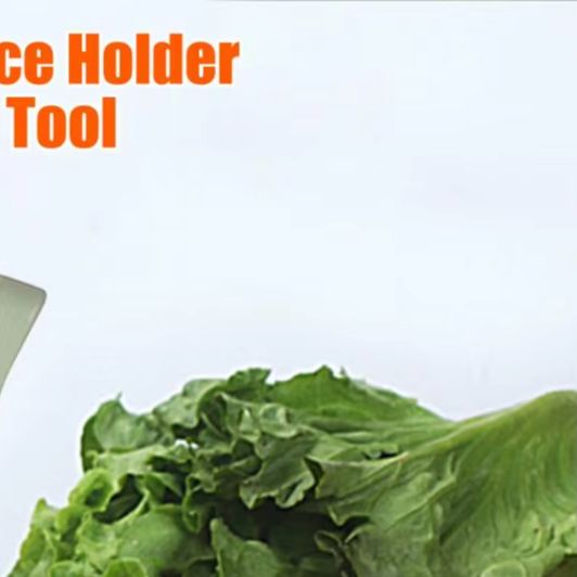 Onion Holder Slicer - 야채 슬라이싱 도구 양파 슬라이서 홀더(10개